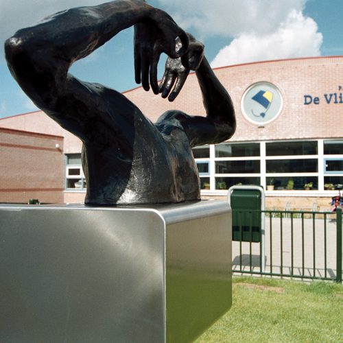 Het Vliegeniersbrilletje